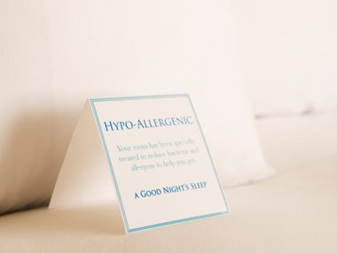 Essential Guide To Deeper Sleep 11 Hypoallergenic Pillow Sl1